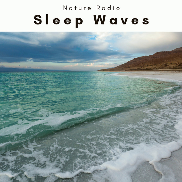 Sleep Waves cover art