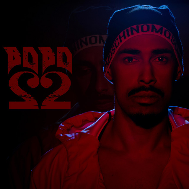 22 cover art