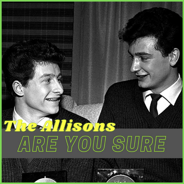 Are You Sure cover art