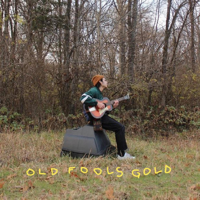 Old Fools Gold cover art