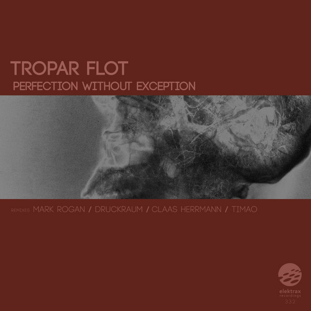 Perfection Without Exception - Mark Rogan Remix cover art