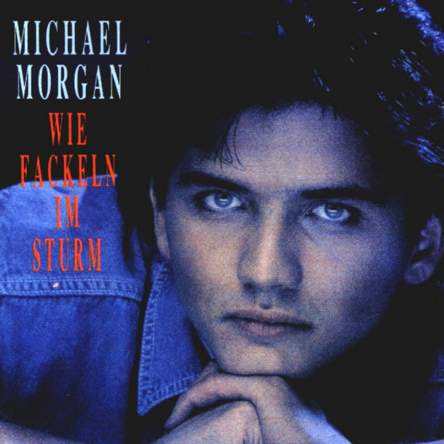 Wie Fackeln im Sturm cover art
