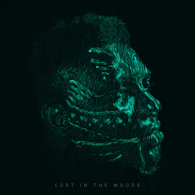 Lost In The Woods cover art