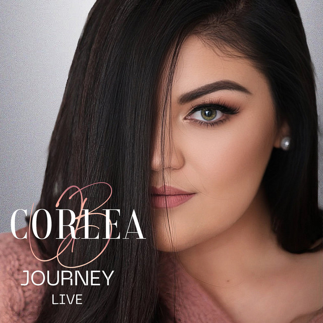 Journey (Live) cover art