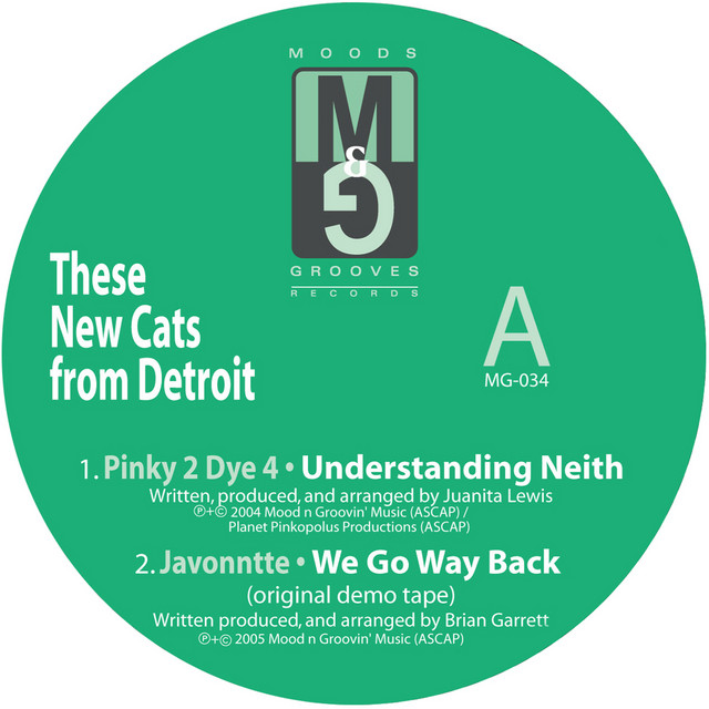 These New Cats From Detroit cover
