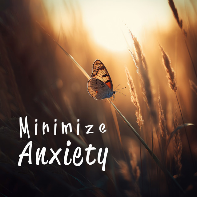Minimize Anxiety: Music to Reduce Daily Stress - Album by Headache ...