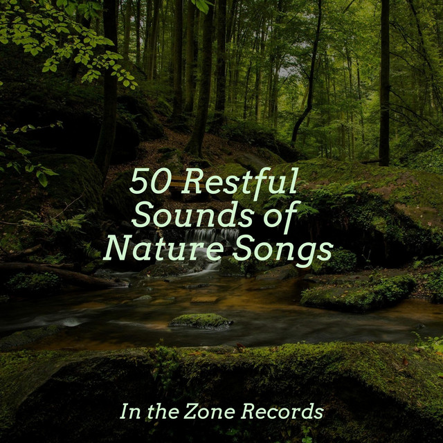 50 Restful Sounds of Nature Songs - Album by Musica Reiki | Spotify