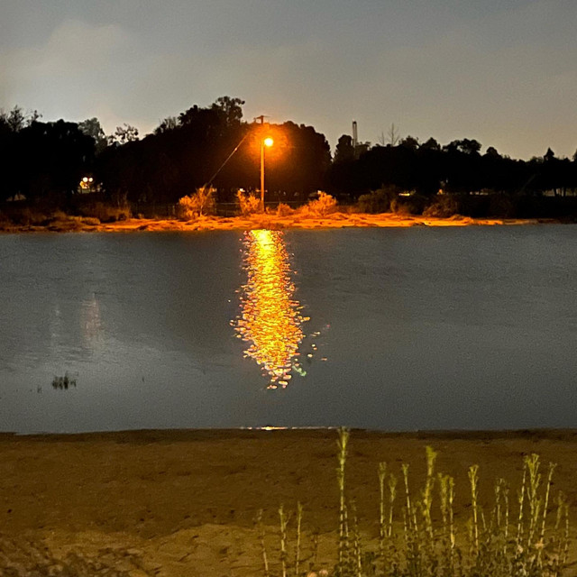 sunny nights cover art