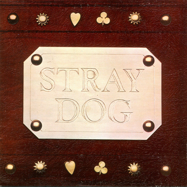 Stray Dog Photo