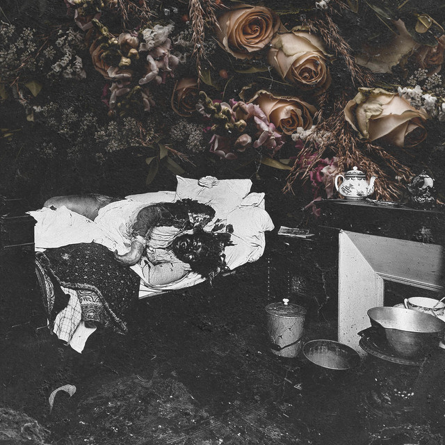 Wilted in Eternal Stasis cover
