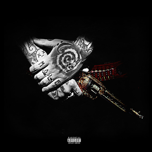 Wild Wild Flex cover