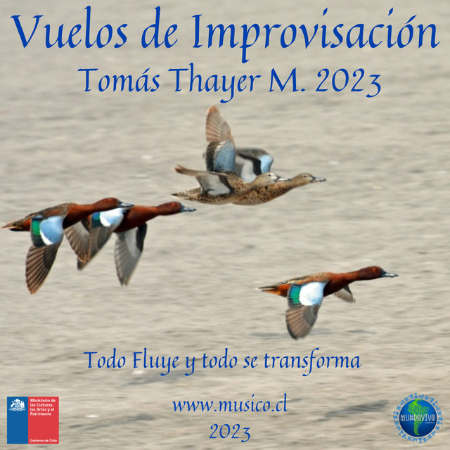 Vuelos de Improvisación cover art