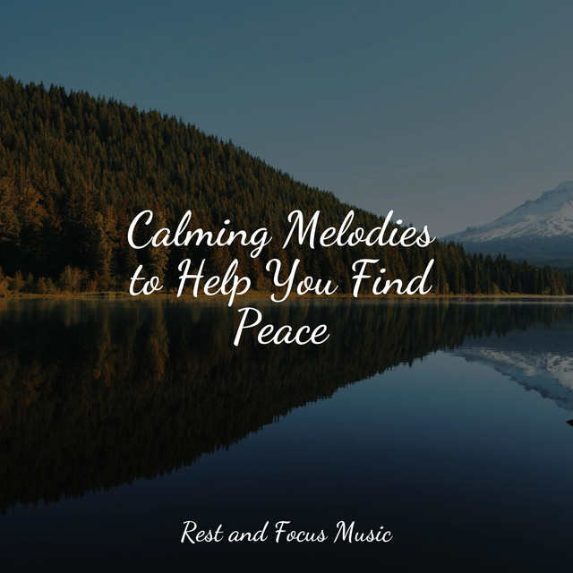 Calming Melodies to Help You Find Peace - Album by Deep Sleep Music ...