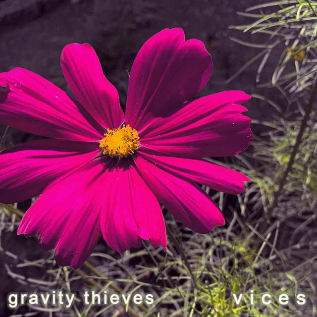 Vices (single)
