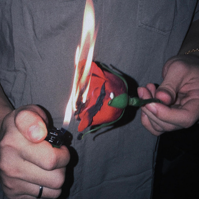 Bunga (alternate) cover art