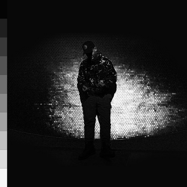 Grayscale cover art