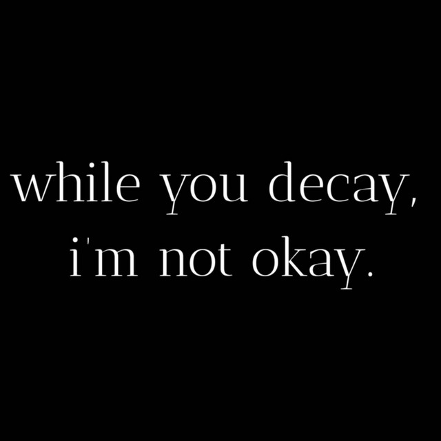 while you decay, i'm not okay. album image