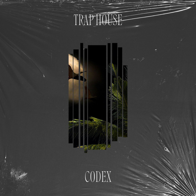CODEX cover art