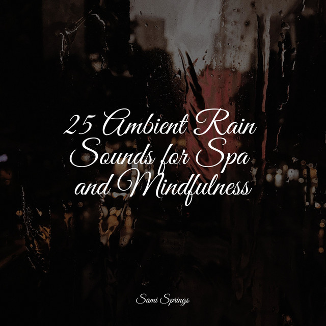 25 Ambient Rain Sounds for Spa and Mindfulness - Album by Soothing Baby ...