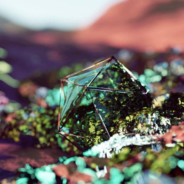 polymorph cover art