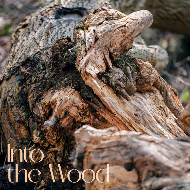 Into the Wood