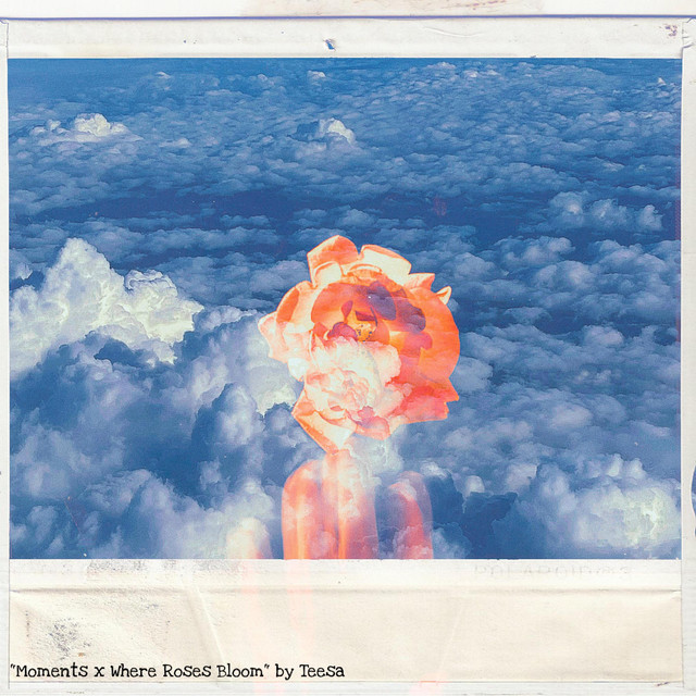 Moments x Where Roses Bloom cover art
