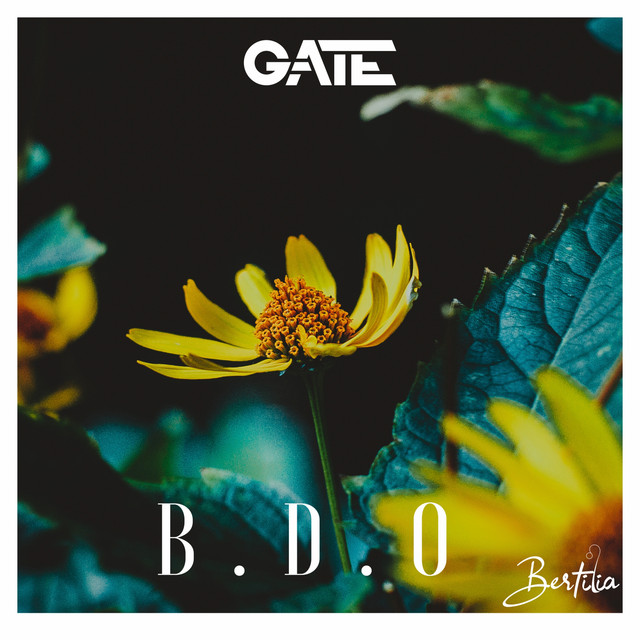 Bdo cover art