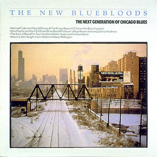 The New Bluebloods: The Next Generation of Chicago Blues cover