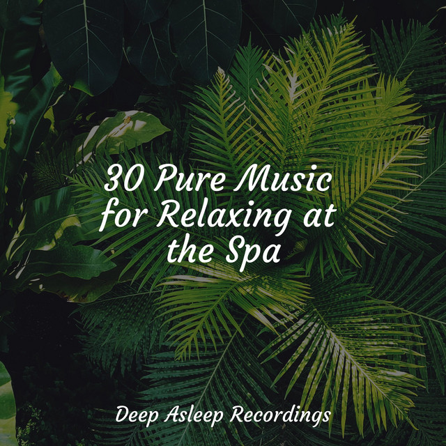 30 Pure Music for Relaxing at the Spa - Album by Calming Sounds | Spotify