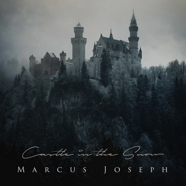 Castle in the Snow cover art