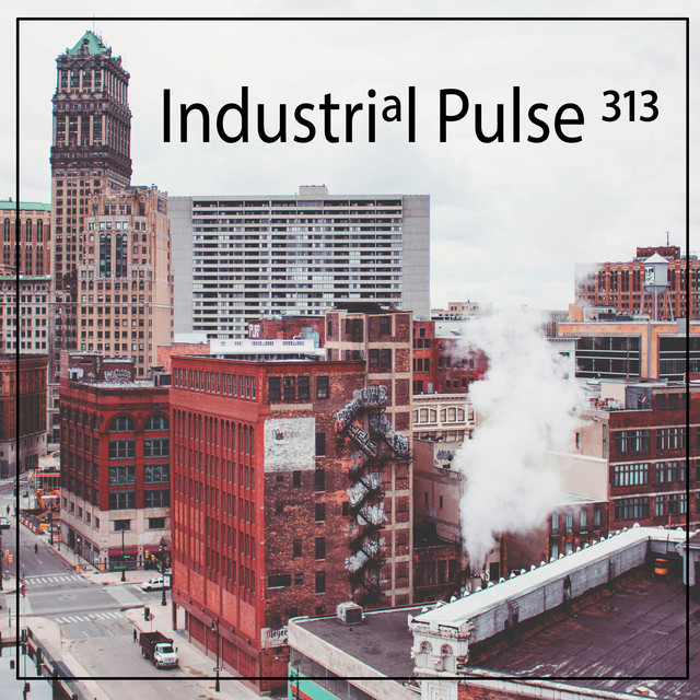 Industrial Pulse 313 cover art
