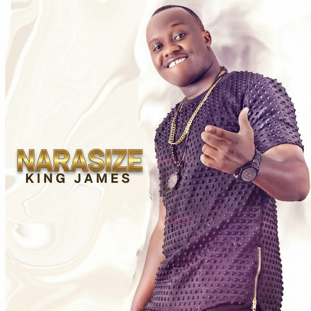 Narashize cover art