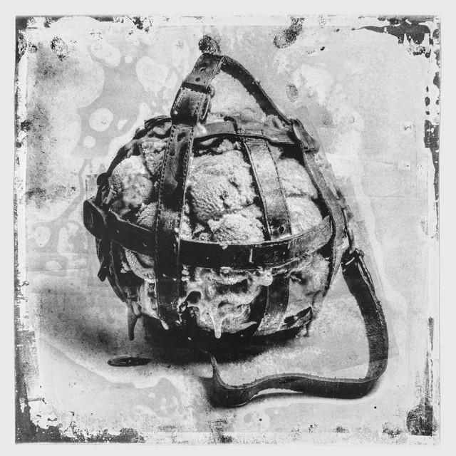Something Breaks Something Grows album art