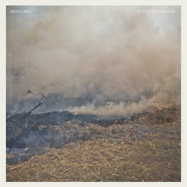 In the Yellow Leaf cover art