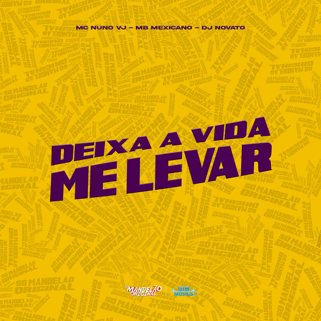 Deixa a Vida Me Levar