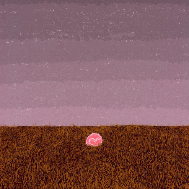 fawn cover art