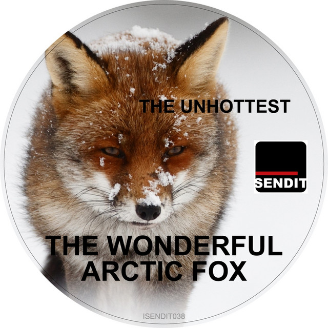 The Wonderful Arctic Fox cover art