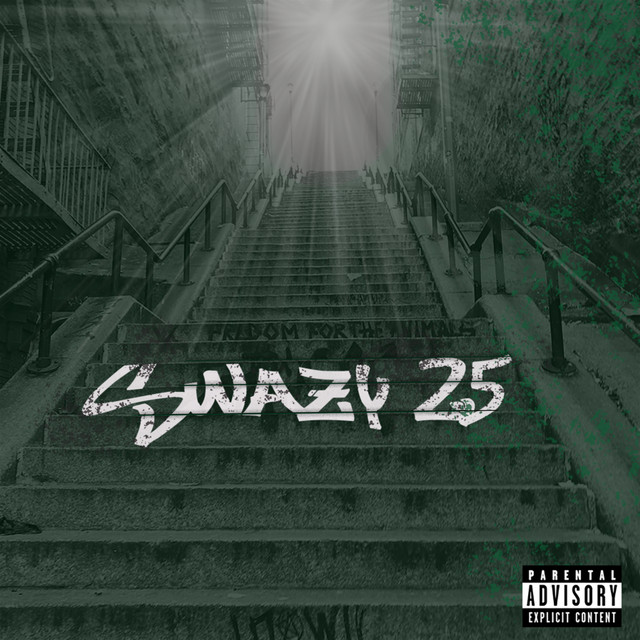 SWAZY 25 cover art
