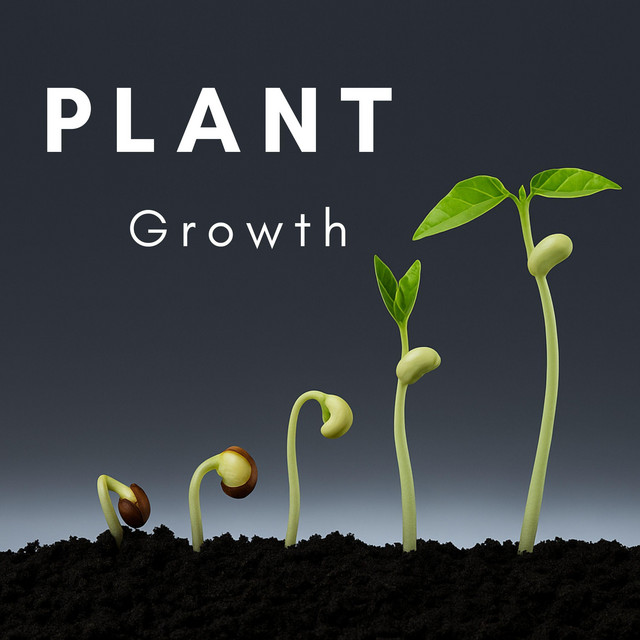 Plant Growth