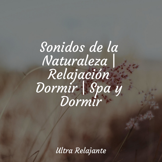 Sonidos de la Naturaleza | Relajación Dormir | Spa y Dormir - Album by ...