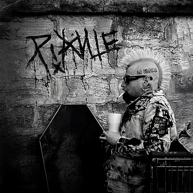 Piante cover art
