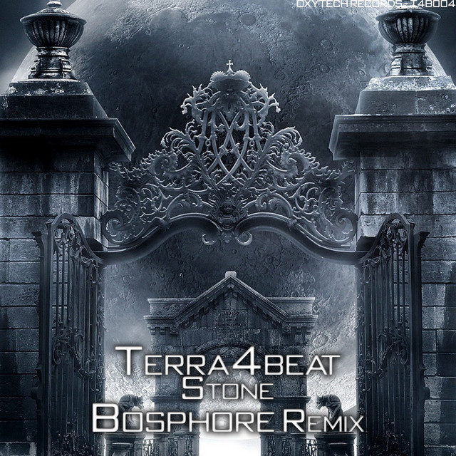 Обкладинка Terra4Beat — Stone