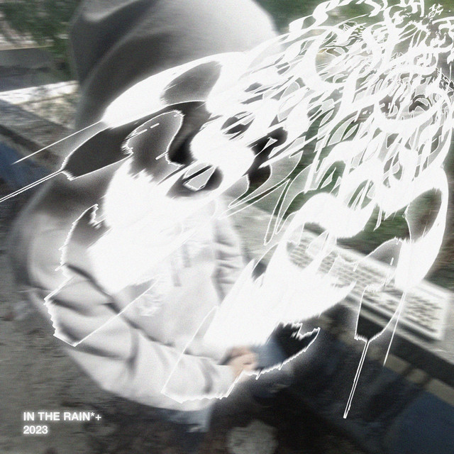 in the rain cover art