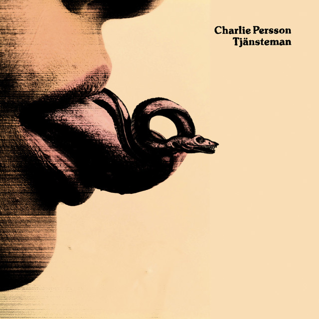 Omslag för Tjänsteman av Charlie Persson