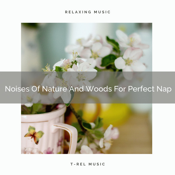 Noises Of Nature And Woods For Perfect Nap - Album by White Noise Spa ...
