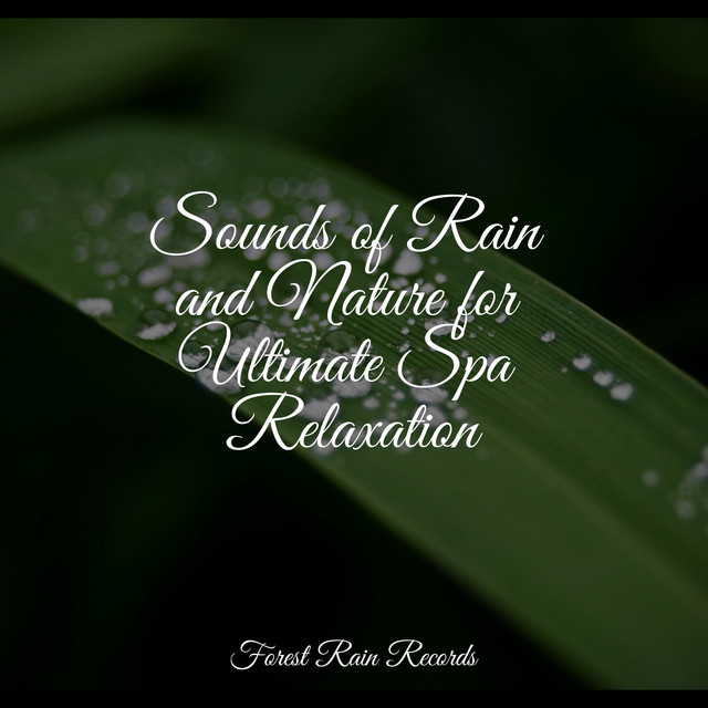 Sounds of Rain and Nature for Ultimate Spa Relaxation - Album by ...