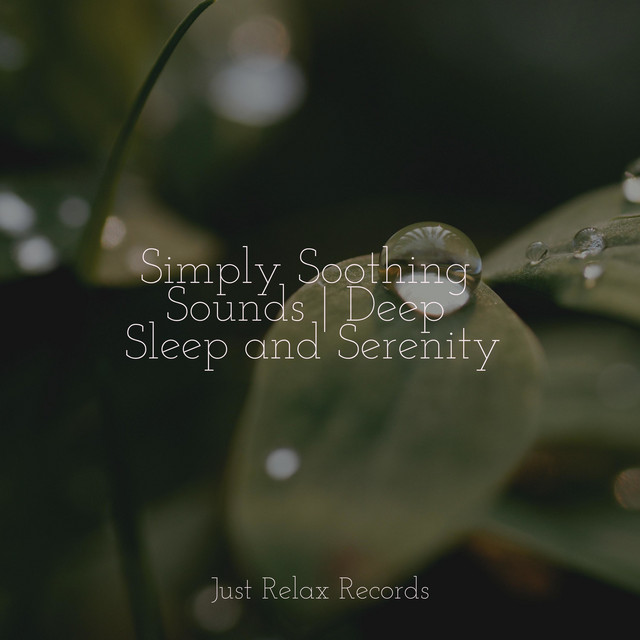 Simply Soothing Sounds | Deep Sleep and Serenity - Album by Musica ...