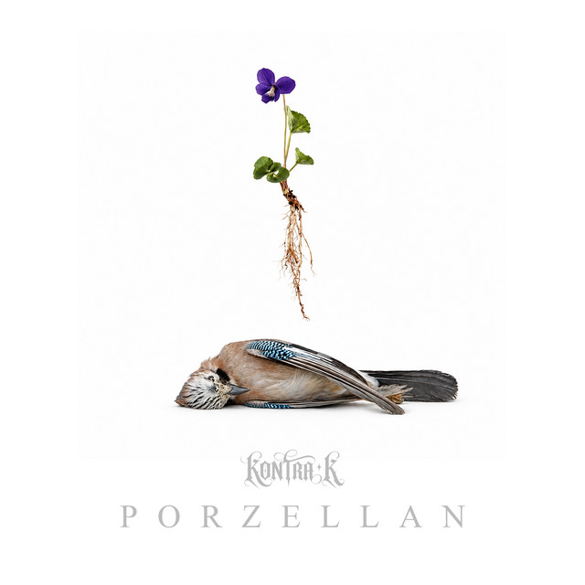 Porzellan album image
