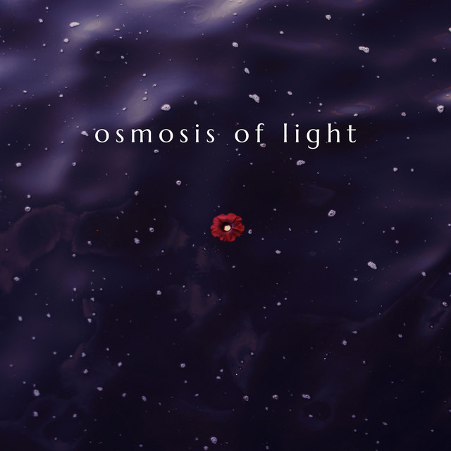 Osmosis of Light: Fading Into Serenity