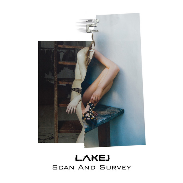 Scan and Survey cover
